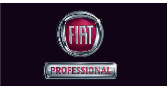 Fiat Professional Horizontal Flag