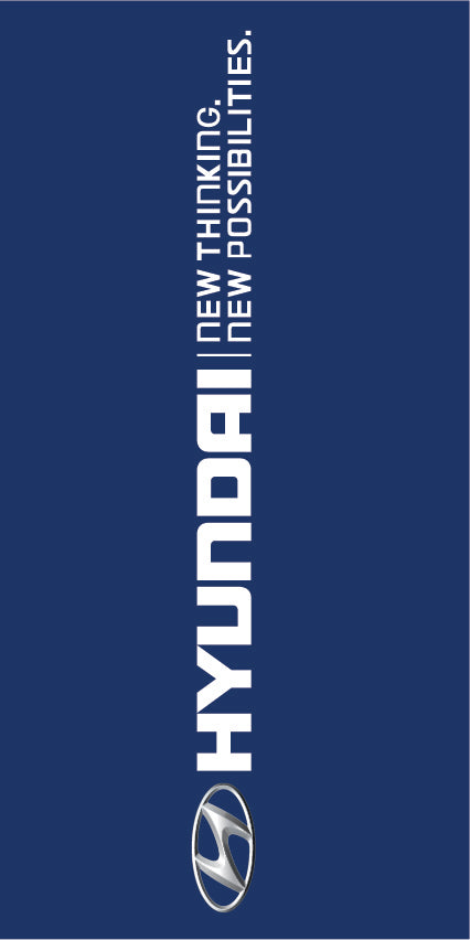 Hyundai Vertical Flag