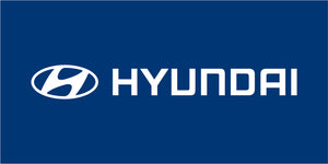 Hyundai Horizontal Flag