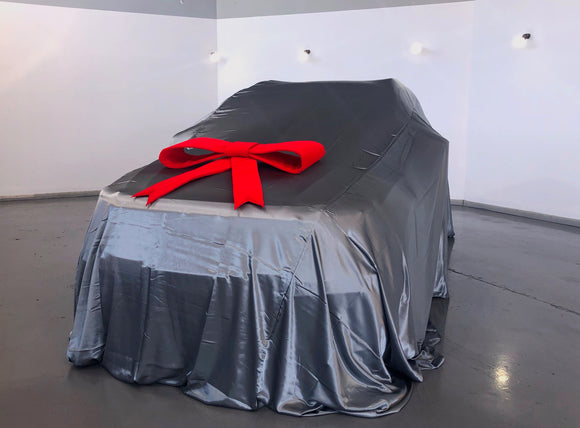 Car Reveal